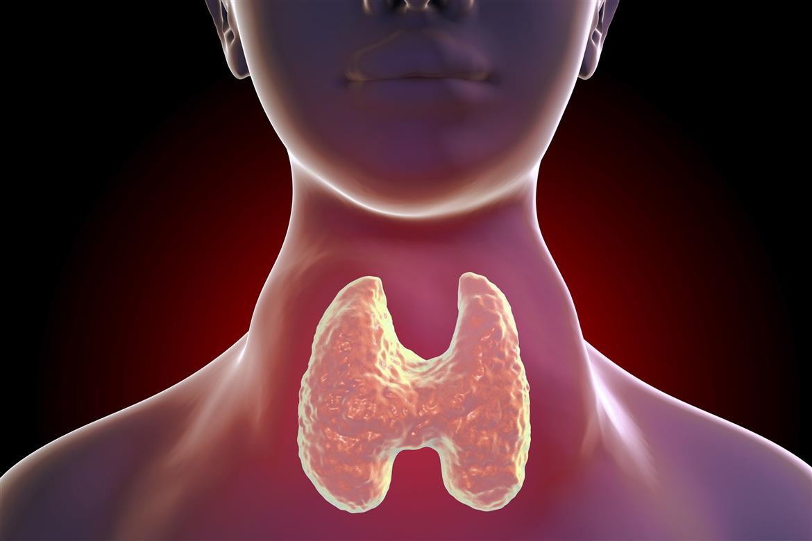16 znakova da je vaša tiroidna žlezda van funkcije, Zdravlje i prevencija, lečenje, magazin